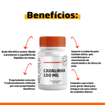 Cavalinha-100mg---60-Capsulas--60-Doses-