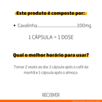 Cavalinha-100mg---60-Capsulas--60-Doses-