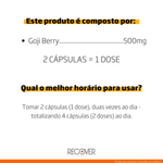 Goji-Berry-500mg---120-Capsulas--60-Doses-