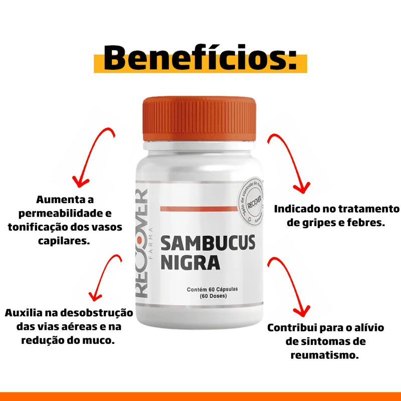 Sambucus-Nigra---60-capsulas--60-doses-