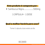 Sambucus-Nigra---60-capsulas--60-doses-