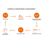 Creatina-Monohidratada-250g---Pre-Treino-I